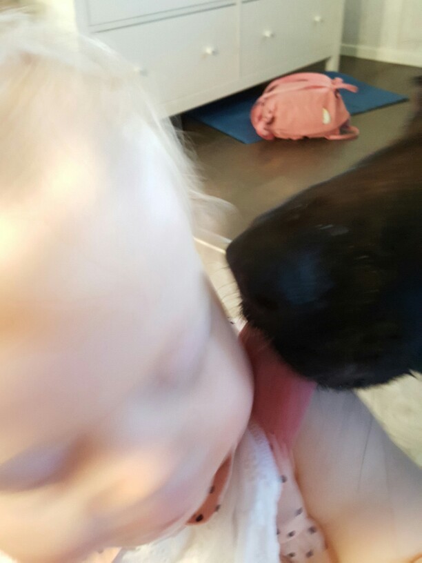 Hunden pussar barnbarnet