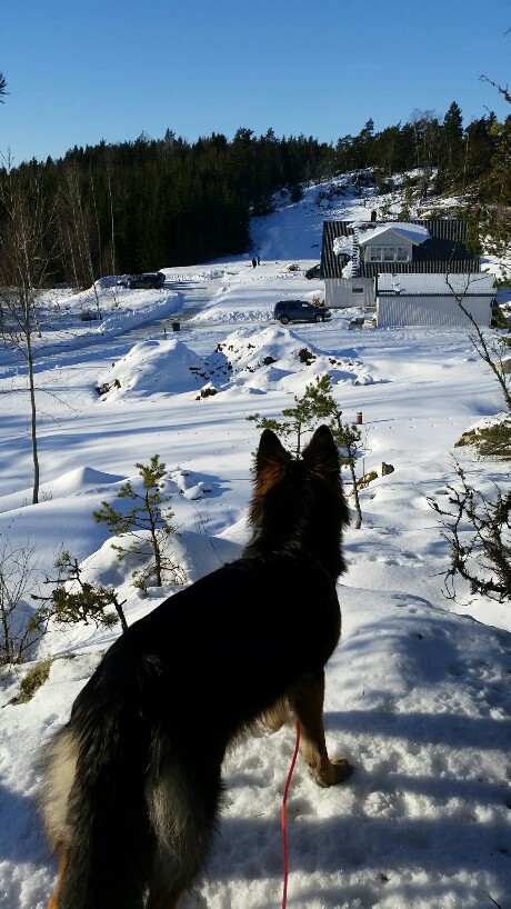 Zoe tittar ut från berget