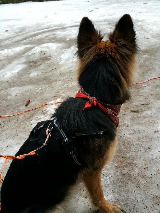 Zoe väntar på att få spåra